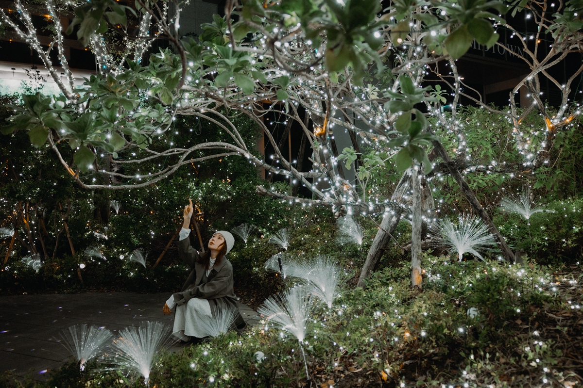 全長 250 公尺的「光之道」，由 40 萬顆銀白燈泡交織而成。（圖片提供：勤美草悟 ）