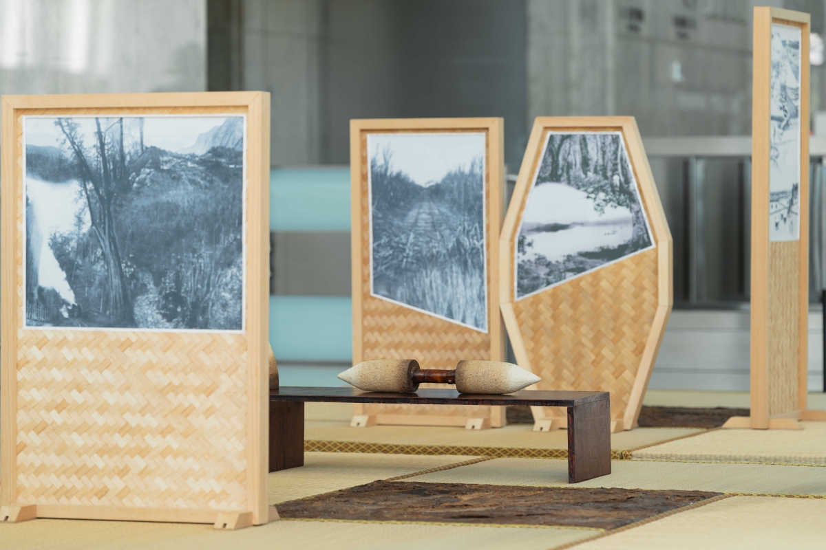 羅懿君作品「熱帶蒐藏」（圖片提供：台北101）