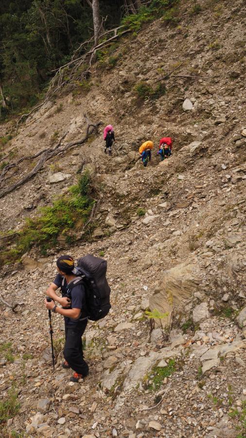 （圖片提供：找樹的人）