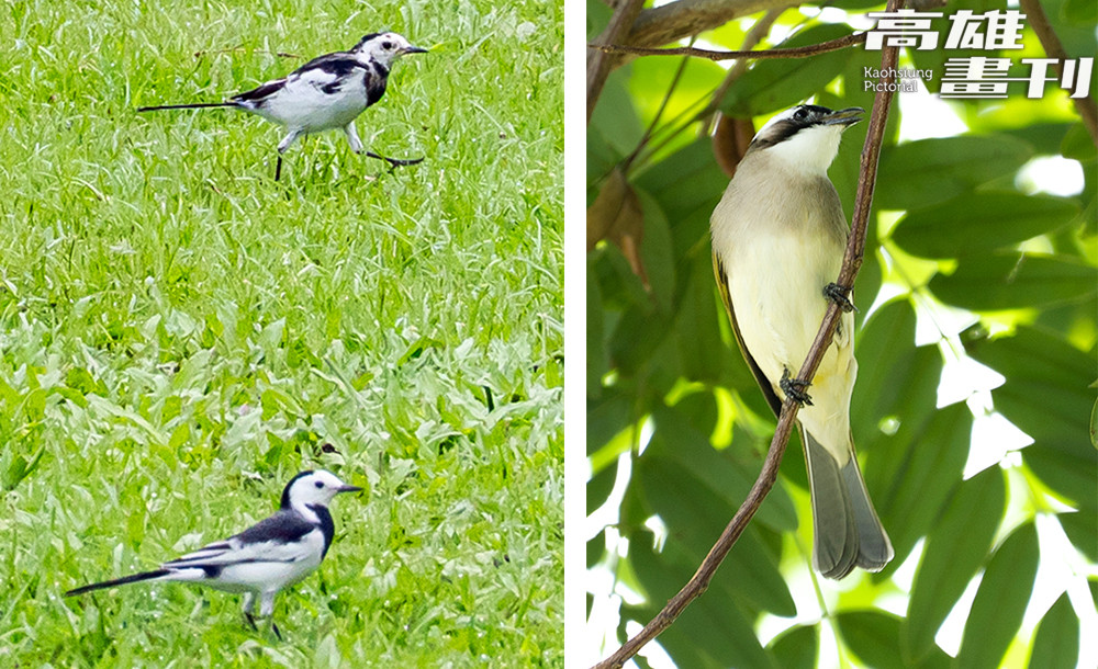 高雄果嶺自然公園