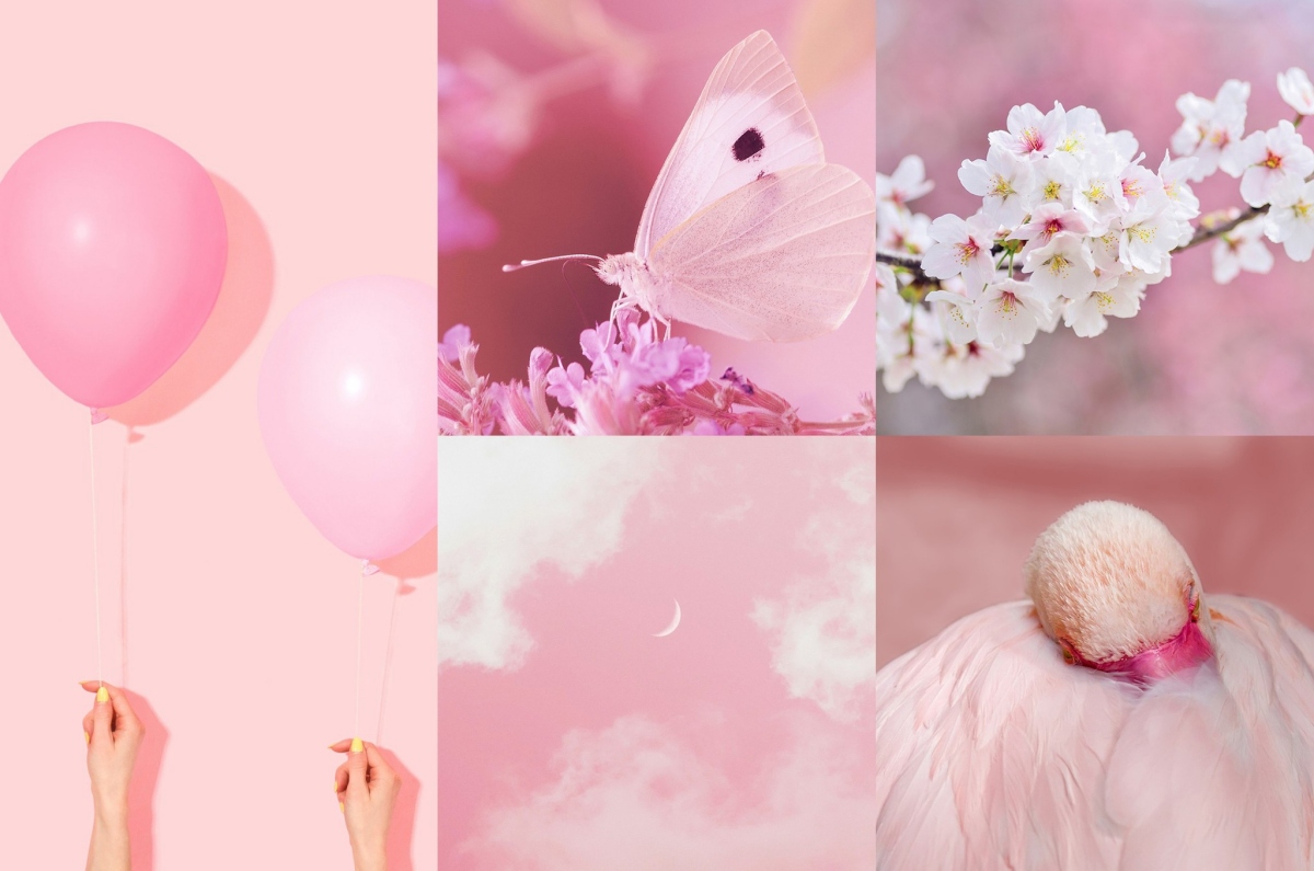 日本流行色協會（JAFCA）選定 「心靈充實的 Heartfelt Pink（ハートフェルトピンク）」 作為 2026 年的主題色。（圖片來源：JAFCA）