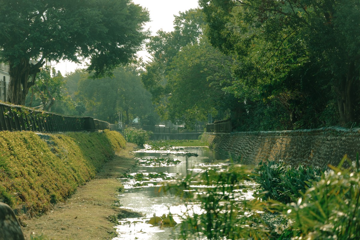 （圖片提供：嶺東科技大學、樸實創意）