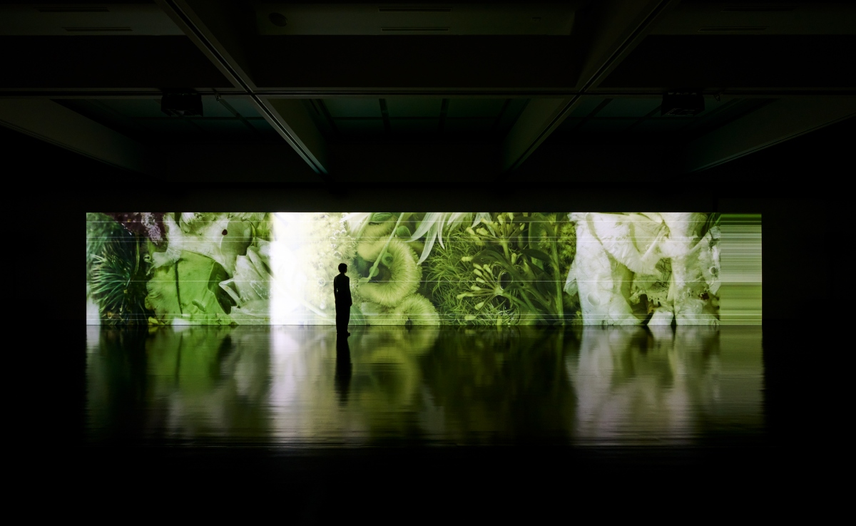 坂本龍一 + 高谷史郎《async–immersion tokyo》2024年東京都現代美術館「Ryuichi Sakamoto | seeing sound, hearing time」展覽現場，2024 年© 2024 KAB Inc. 攝影：淺野豪