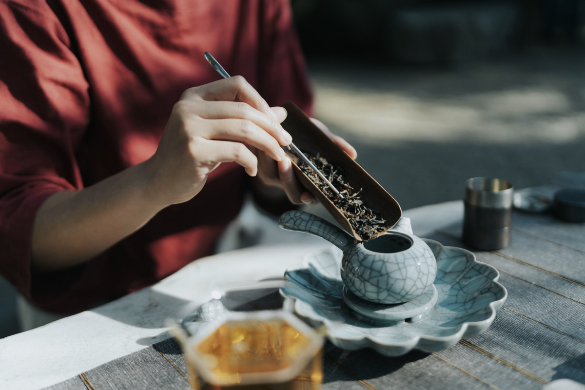 寶元紀之丘《萬茶盛典》茶文化嘉年華！串連茶席、器物展與市集，東京「櫻井焙茶研究所」來台