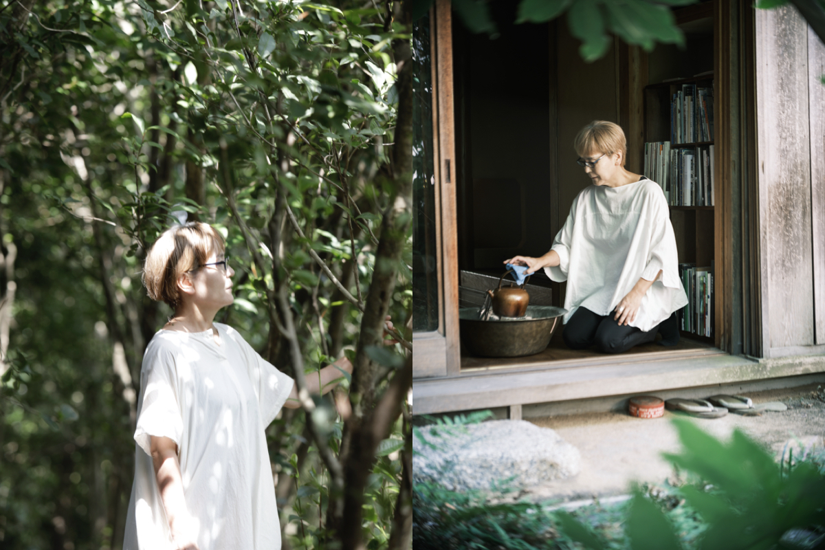 寶元紀之丘《萬茶盛典》茶文化嘉年華！串連茶席、器物展與市集，東京「櫻井焙茶研究所」來台