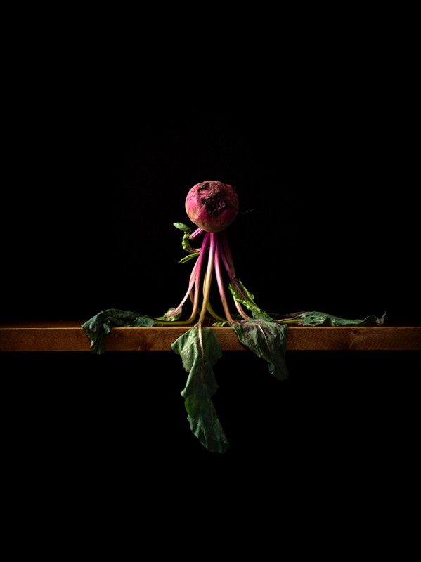 （圖片提供：亞太連線藝術）