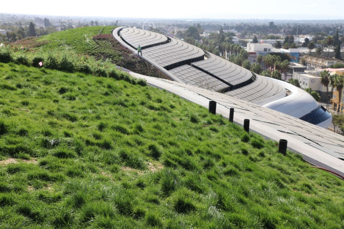 （圖片來源：Lucas Museum）