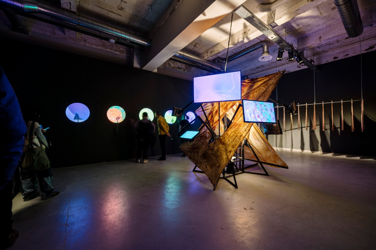 顧廣毅《酷兒解剖學圖譜》，2025，書、網頁、布料數位輸出、三維列印模型、乳膠、織品、錄像裝置，尺寸依場地而定。（圖片提供：顧廣毅）