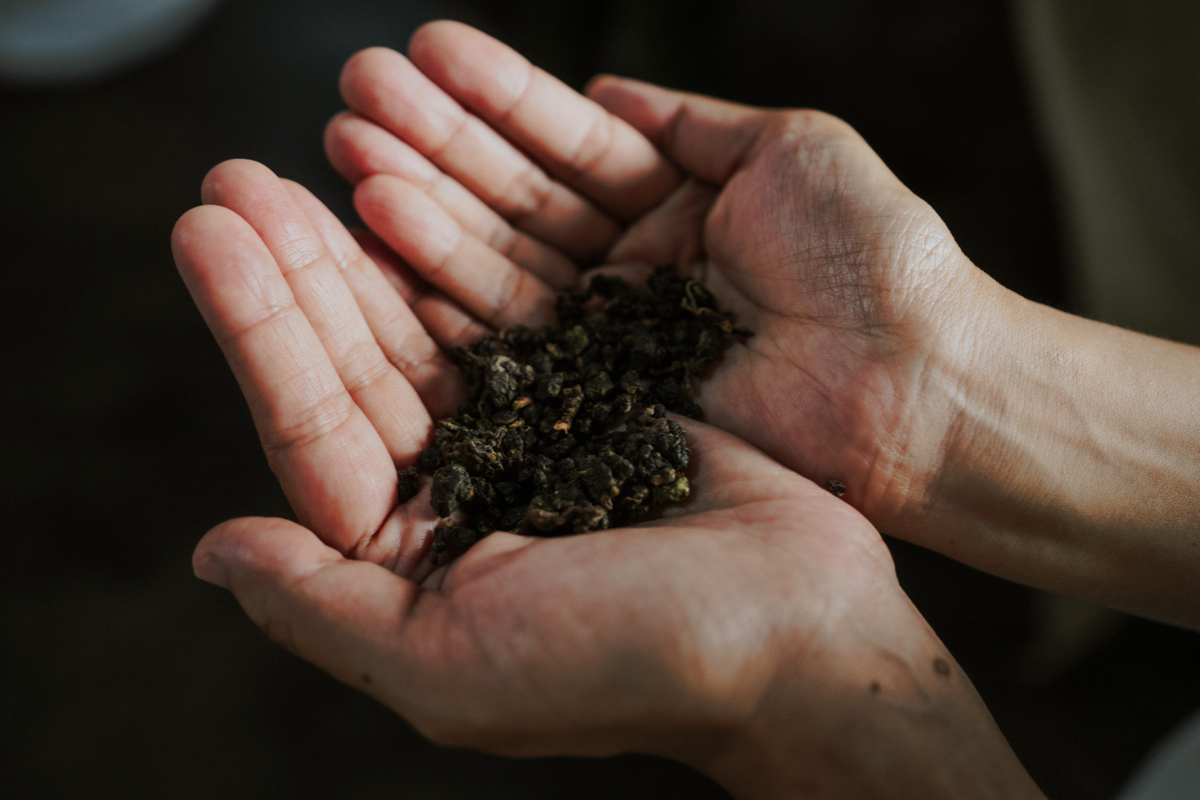 CAFE!N姐妹品牌「吉合製茶」插旗台中！自選「茶湯X喝法X嚼料」拼出專屬風味