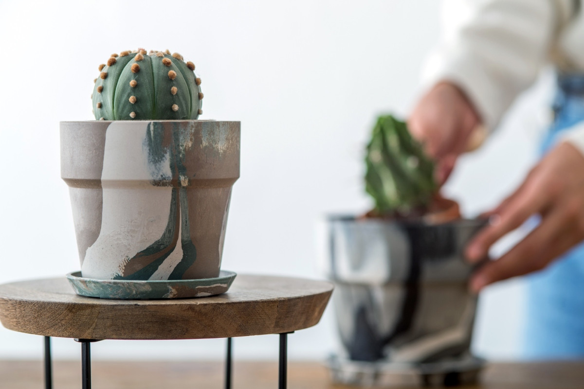 森美選物。（圖片提供：富興工廠1962）