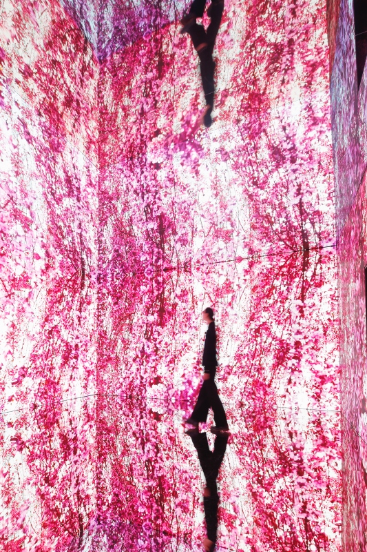 （日本京都市京瓷美術館；圖片提供：聯合數位文創）