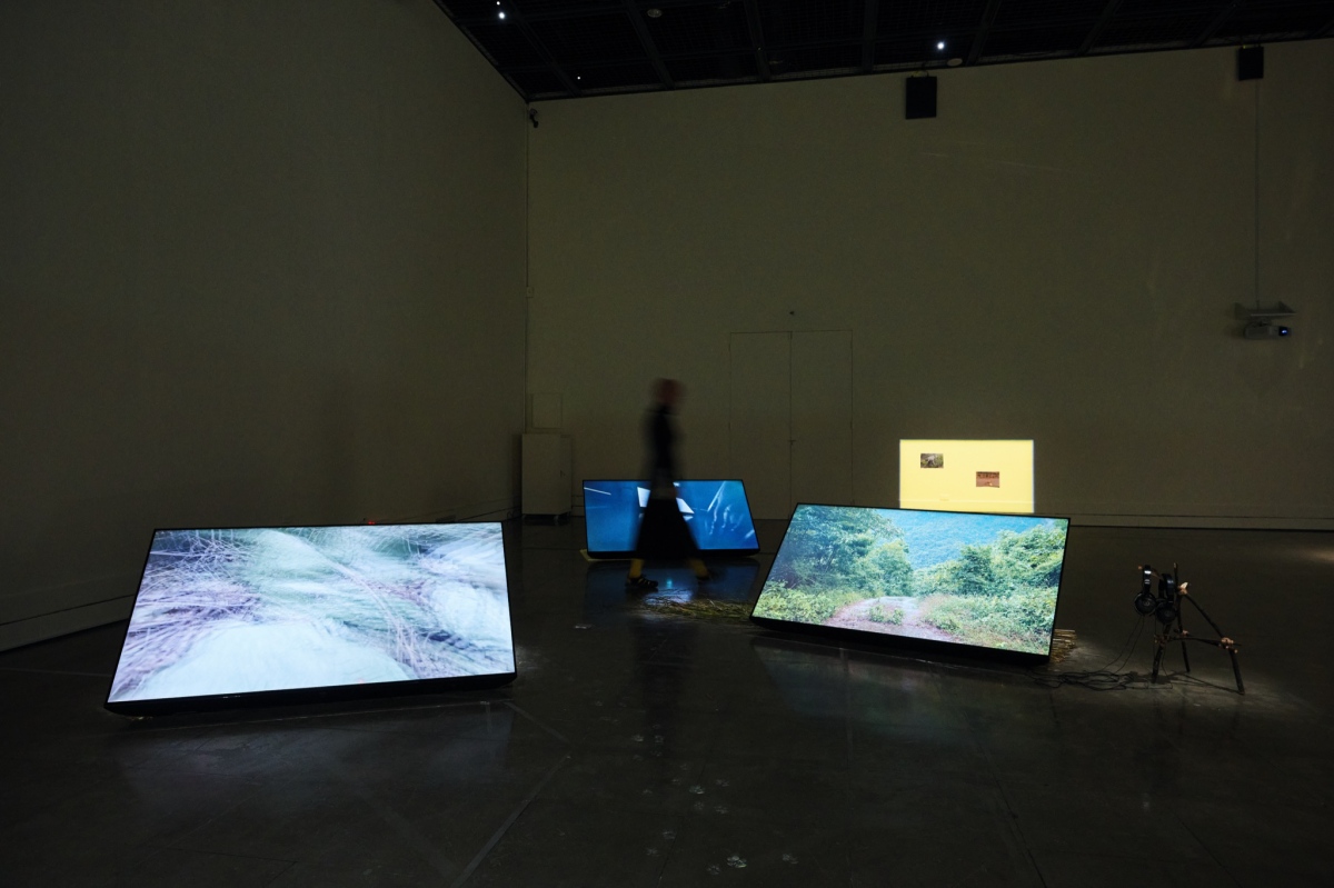 （圖片提供：胡氏藝術）