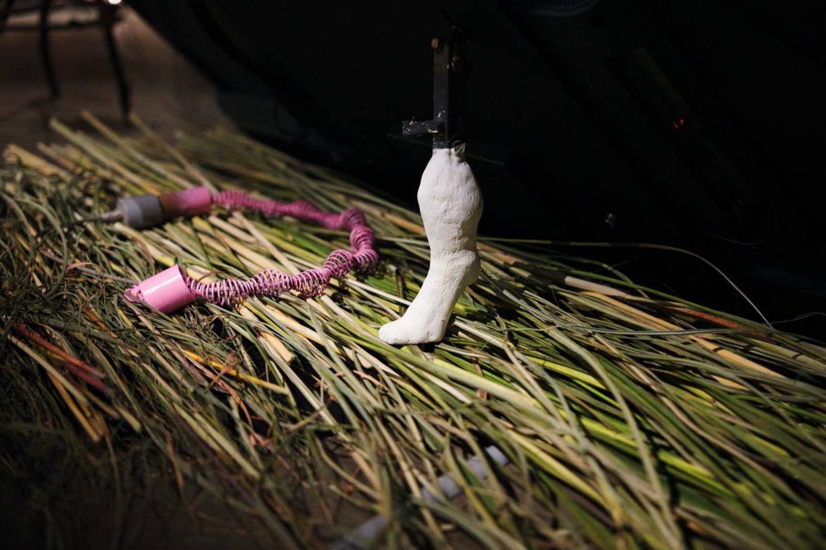 （圖片提供：胡氏藝術）