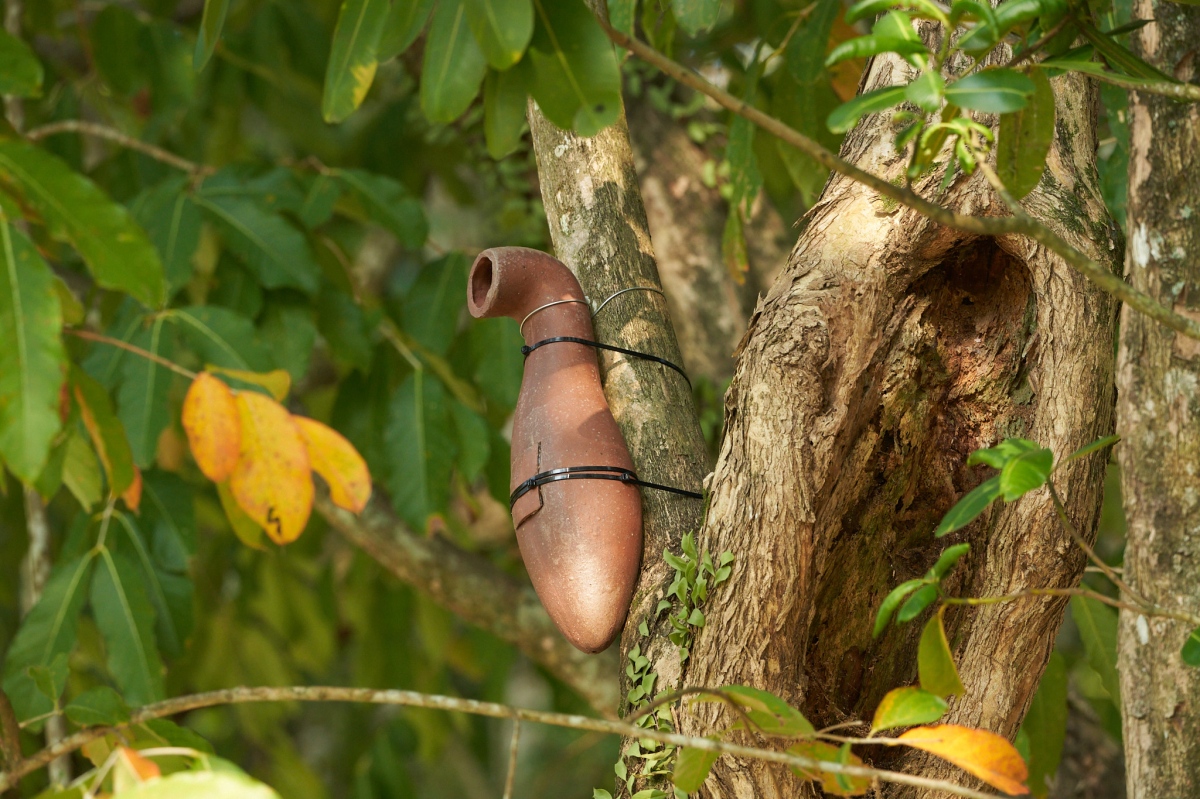 蔡咅璟，《山麻雀之歌》（錄像截圖），2022，複合媒材、裝置、錄像，尺寸依空間而定，影片長11分42秒。