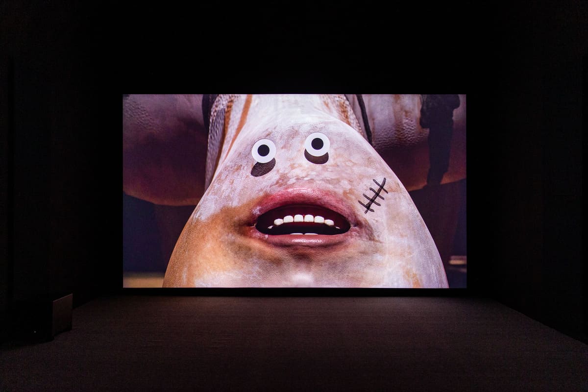 2023台北雙年展《小世界》李亦凡作品《難忘的形狀》展出現場。（圖片提供：臺北市立美術館）