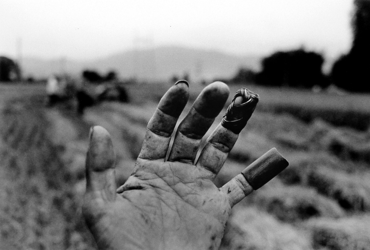 姚孟嘉，〈桃園．龍潭〉，1982。（圖片提供：新美館）