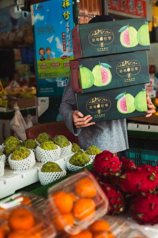 （圖片提供：高雄市政府青年局）