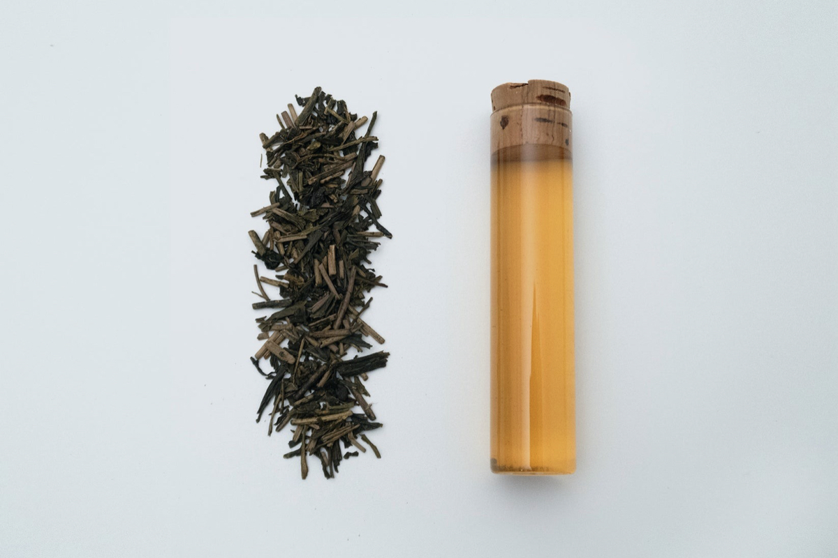 CNN盛讚！專訪東京「櫻井焙茶研究所」櫻井真也：從24節氣茶到吧台式品茗，掀起日本茶的品味與產業革新