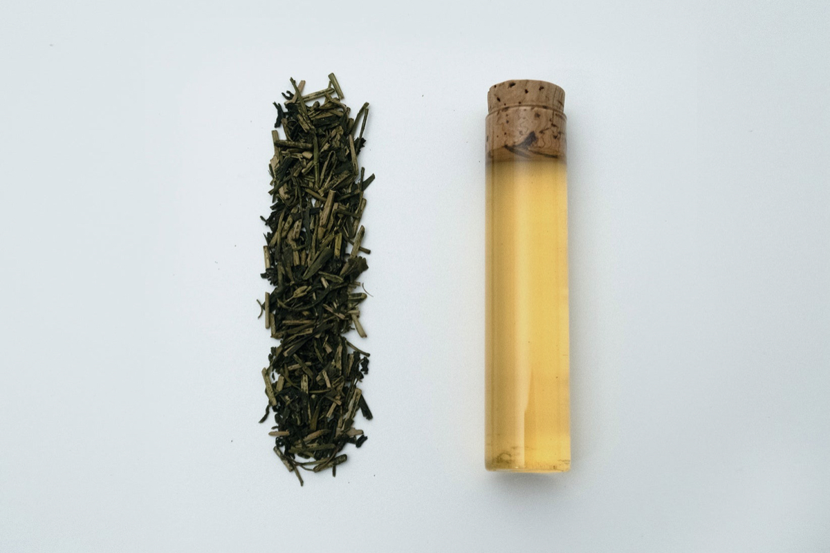 CNN盛讚！專訪東京「櫻井焙茶研究所」櫻井真也：從24節氣茶到吧台式品茗，掀起日本茶的品味與產業革新