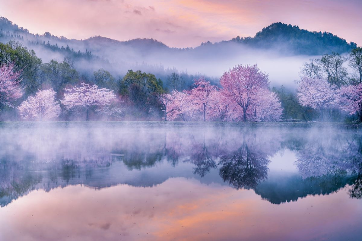 圖片來源：《日本絕景攝影指南：200個季節限定景點 × 完整實拍設定》