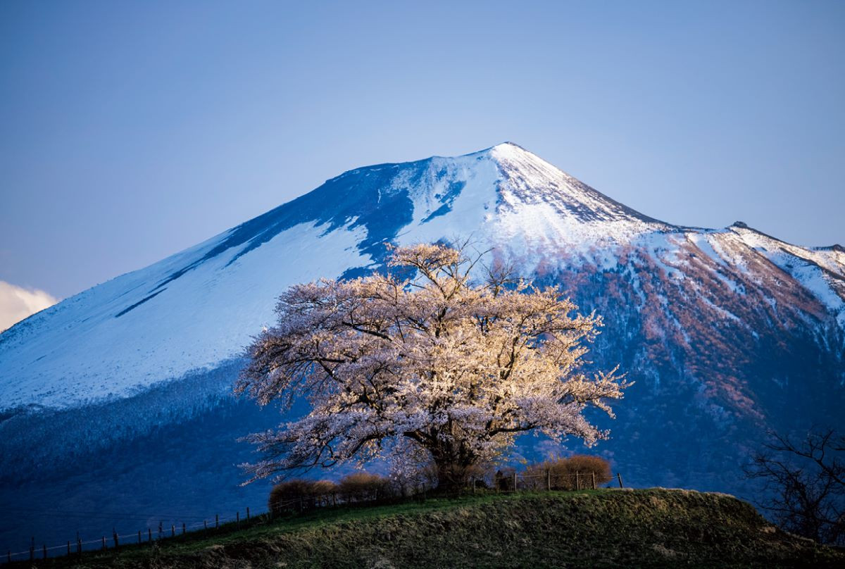 圖片來源：《日本絕景攝影指南：200個季節限定景點 × 完整實拍設定》