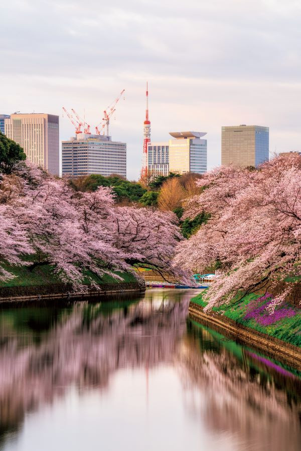 圖片來源：《日本絕景攝影指南：200個季節限定景點 × 完整實拍設定》