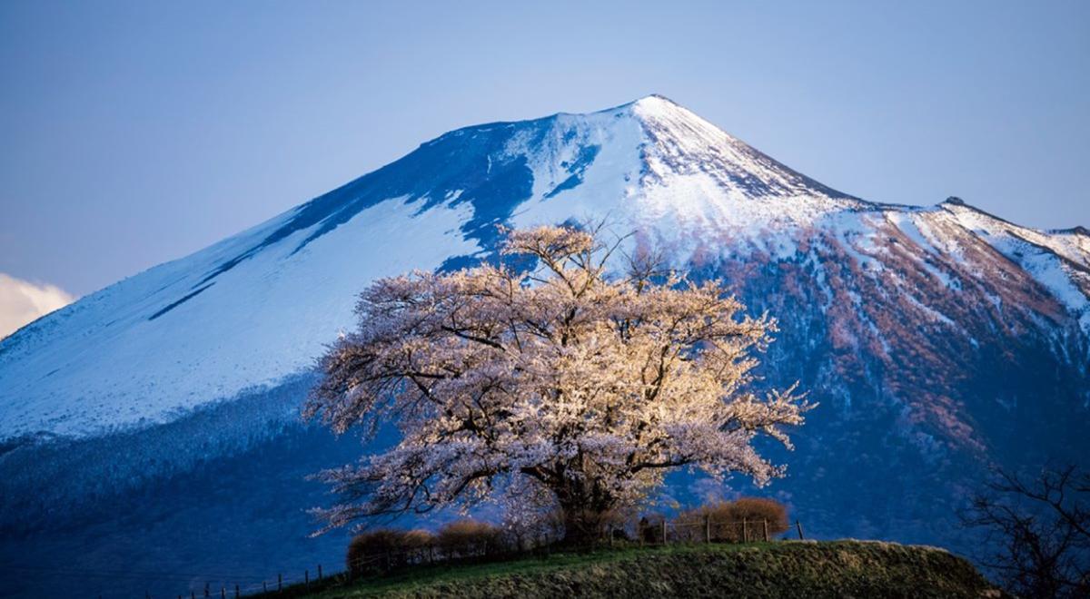 圖片來源：《日本絕景攝影指南：200個季節限定景點 × 完整實拍設定》