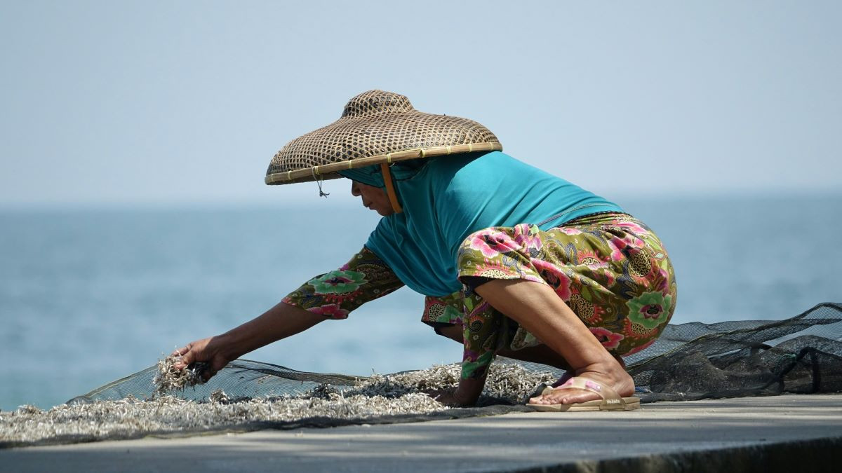 Photo by Enrico Suhartanto on Unsplash