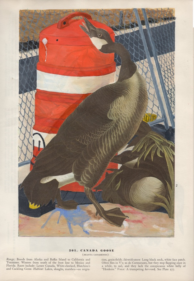 台北當代館2026展覽盤點！首檔大展《凹陷》回顧台灣藝術團體的聚與散