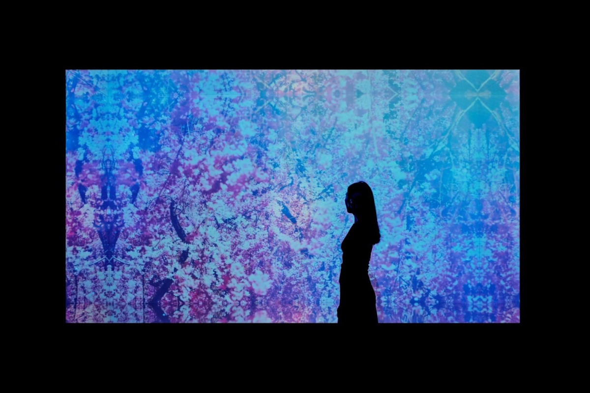 《綻放的情感》展區一隅（圖片提供：聯合數位文創）