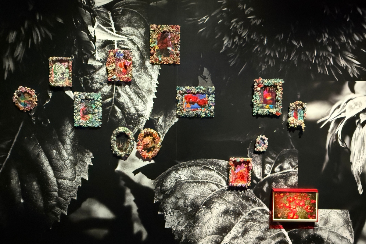 「解放與執著」展區呈現蜷川實花的攝影作品，並結合精緻的複合媒材、立體裝飾藝術與空間設計。（攝影：Adela Cheng）