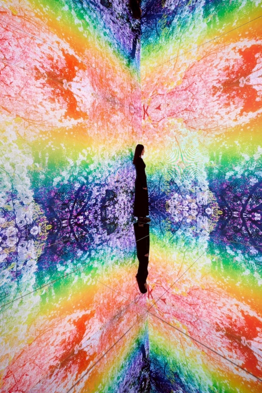 「深淵彼岸的夢」展區一隅（圖片提供：聯合數位文創）