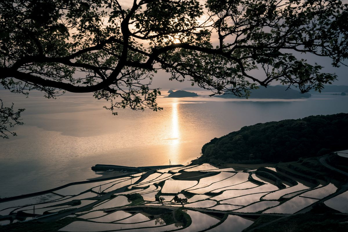 圖片來源：《日本絕景攝影指南：200個季節限定景點 × 完整實拍設定》