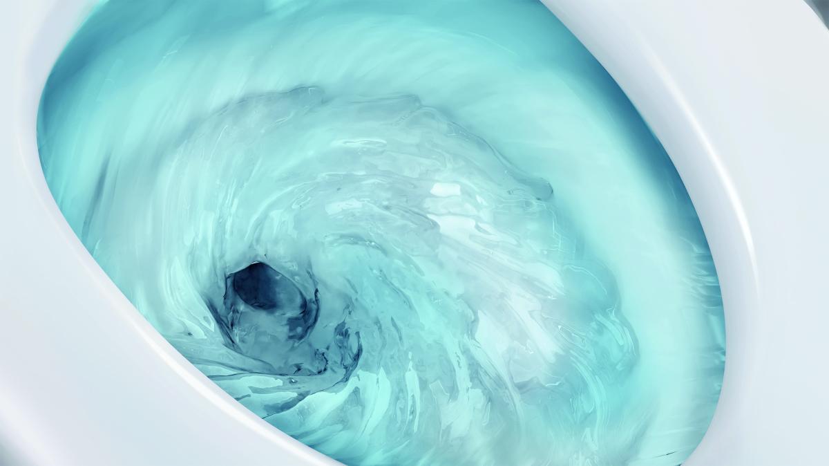 （圖片提供：楠弘）