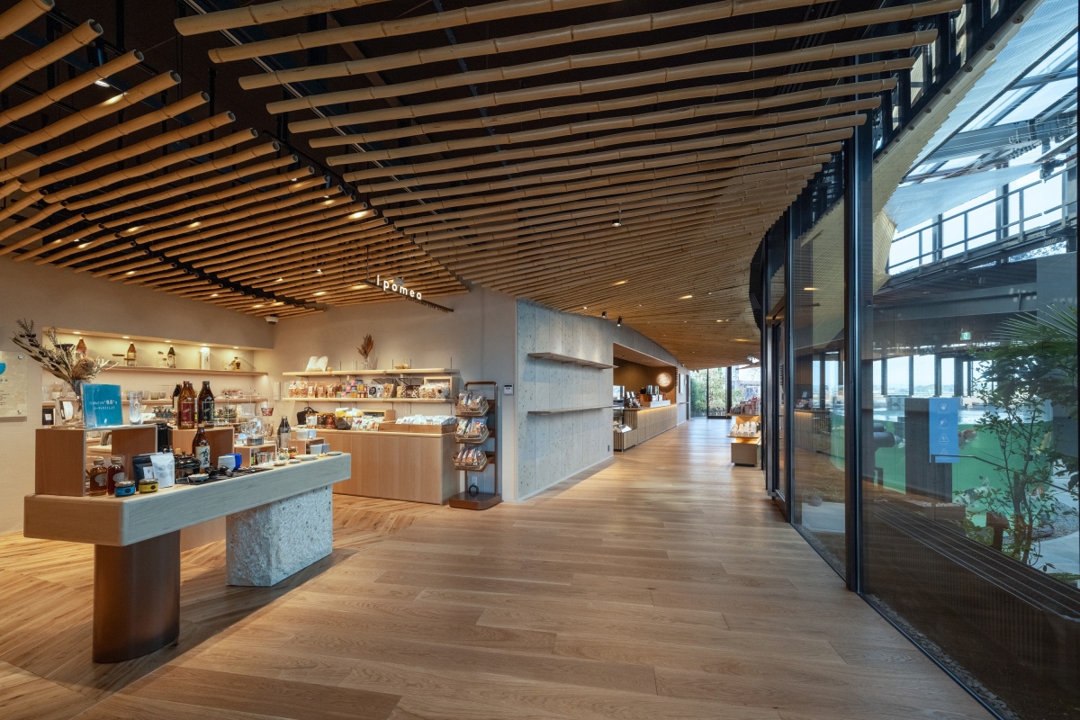 踏進其中，迎面而來的是以晒竹打造的柔和曲線天花板，延展出溫潤而開放的空間。（圖片來源：Starbucks Coffee Japan）