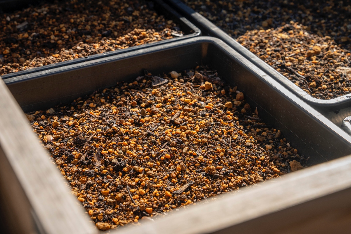 用咖啡渣與燒酎酒粕製作而成的堆肥（圖片來源：Starbucks Coffee Japan）