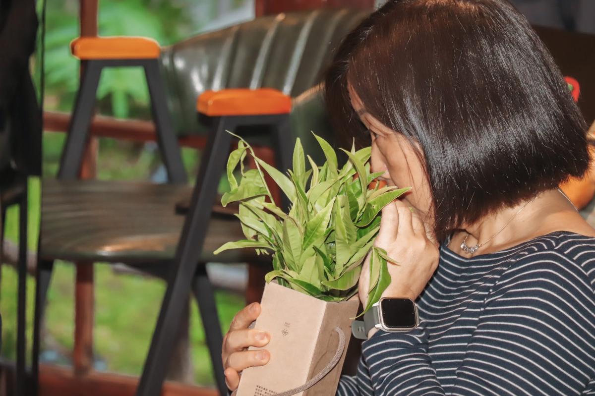 （圖片提供：0km山物所）