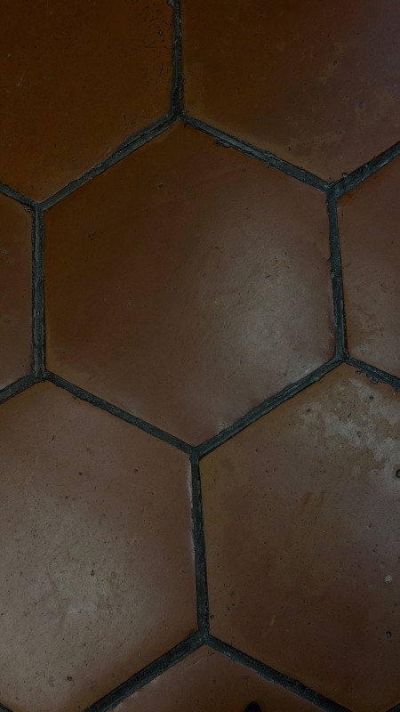 （攝影：李君慈）