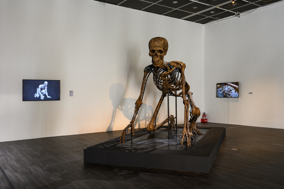 涂維政《遺跡化石-巨人斯金納1號》（圖片提供：台北當代藝術館，攝影：ANPIS FOTO 王世邦）