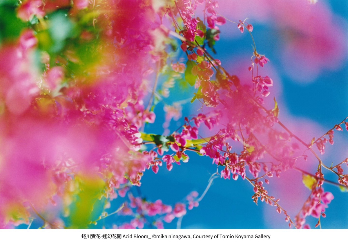 （圖片來源：屏東縣政府文化處）