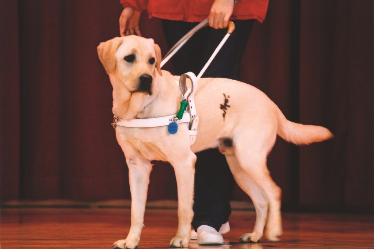 （圖片提供：采昌國際多媒體）