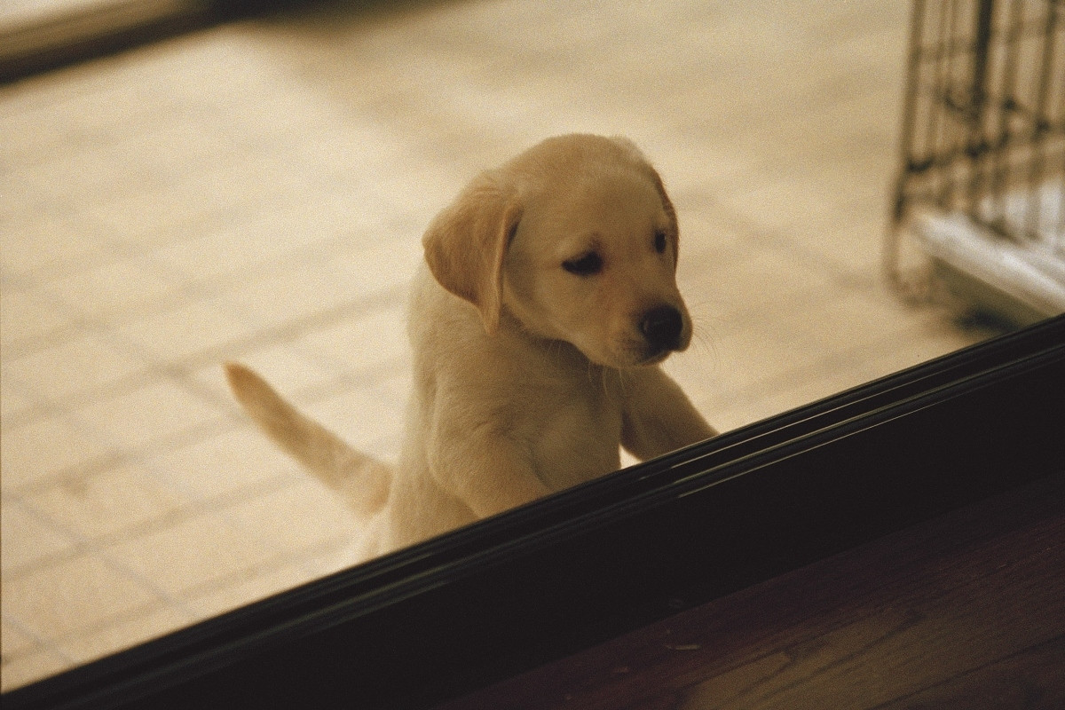 經典一幀！（圖片提供：采昌國際多媒體）