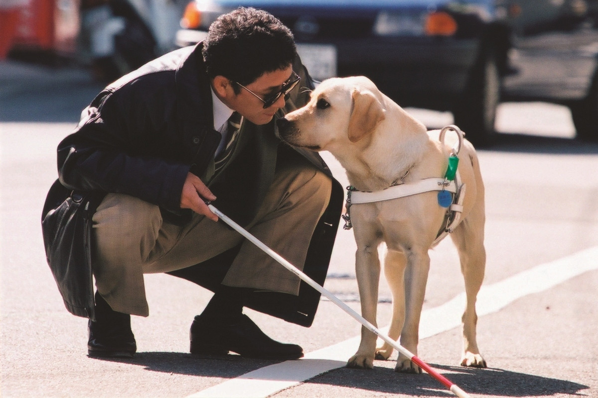 （圖片提供：采昌國際多媒體）