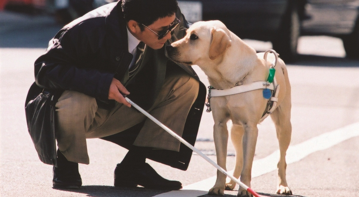 用愛守望22年，《再見了，可魯》3/27與你在影院重逢：如紀錄片般見證生命，質樸鏡頭語言何以成就催淚經典？