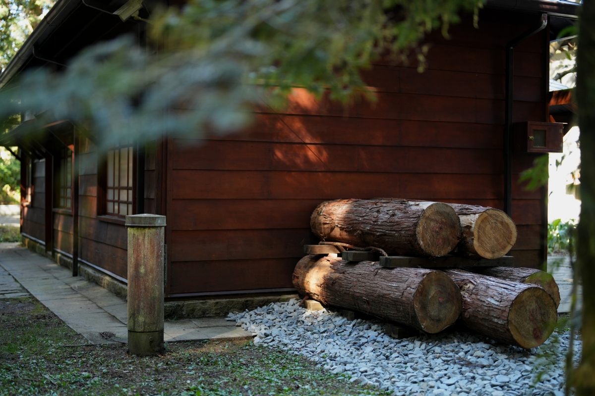 「森記・事 Forest Era｜林業故事館」入口倒木彷彿剛從林場運下。（圖片提供：宜東文化、攝影：黃覺深）