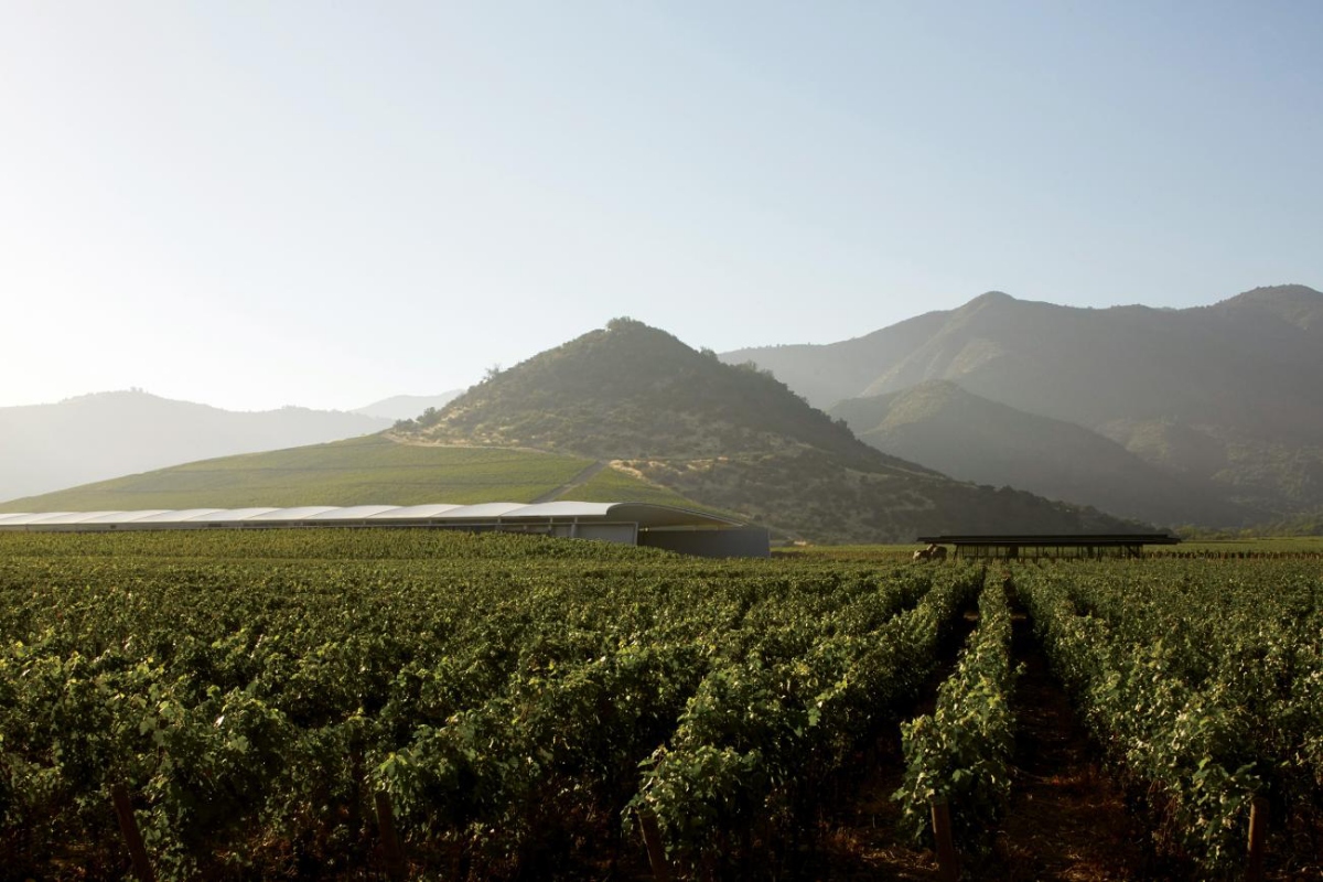 Vik Millahue Winery（米拉胡維克酒莊），2013（攝影：Cristobal Palma）