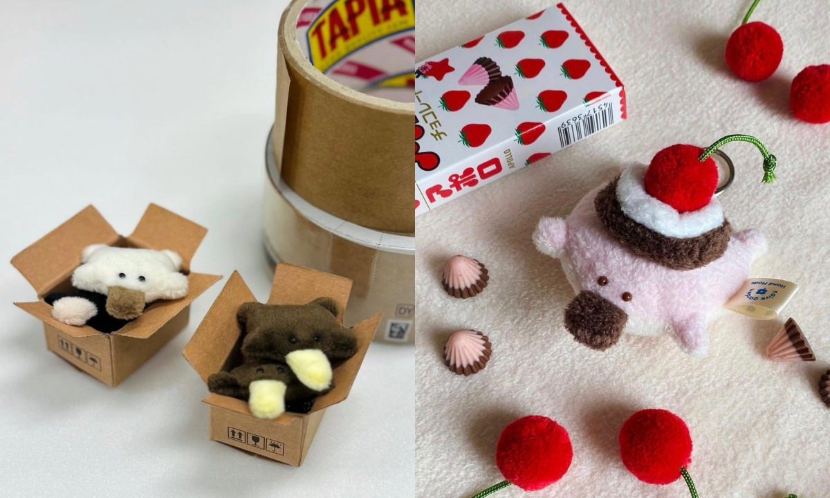 （圖片提供：object）