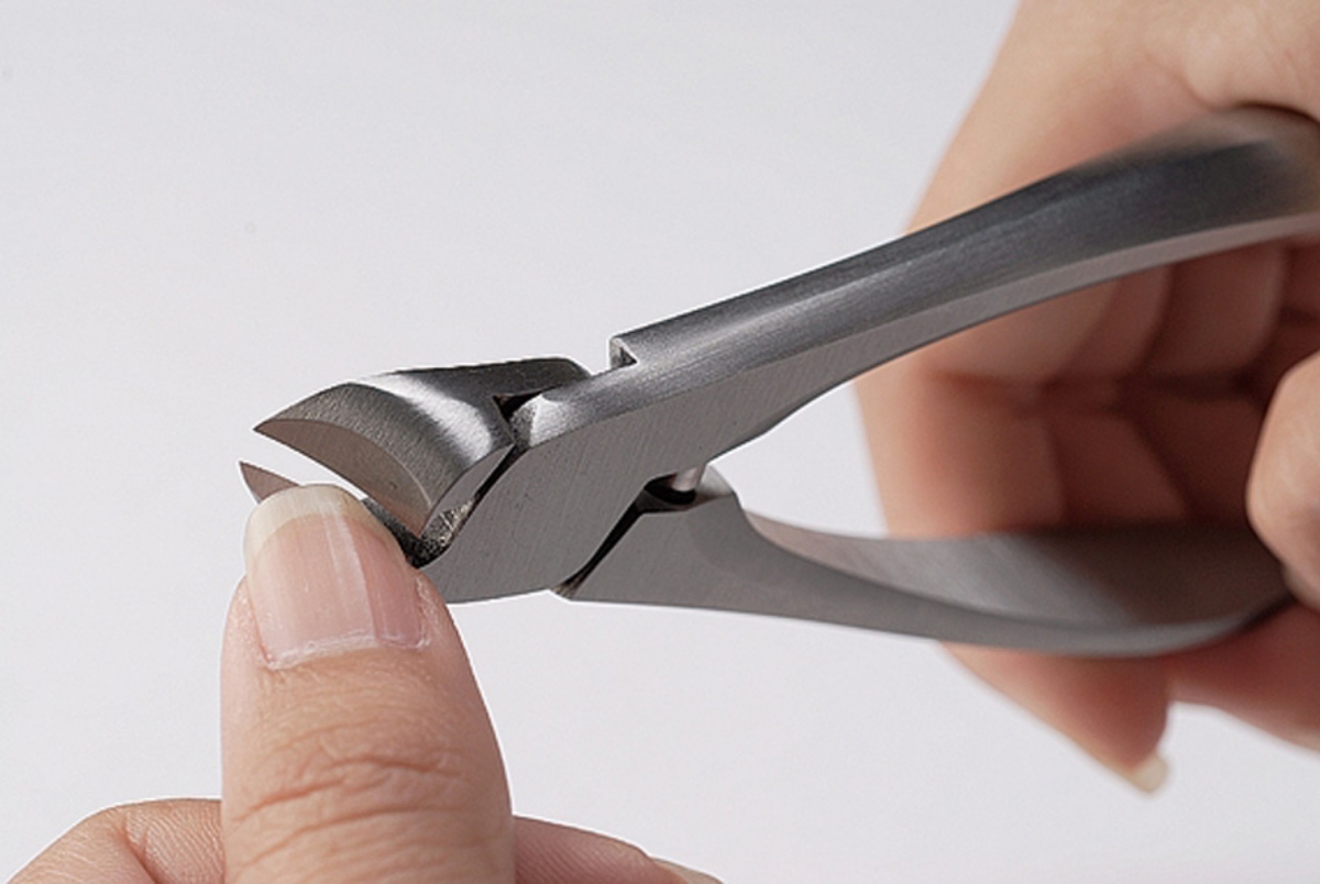 （圖片提供：之間實行委員會）