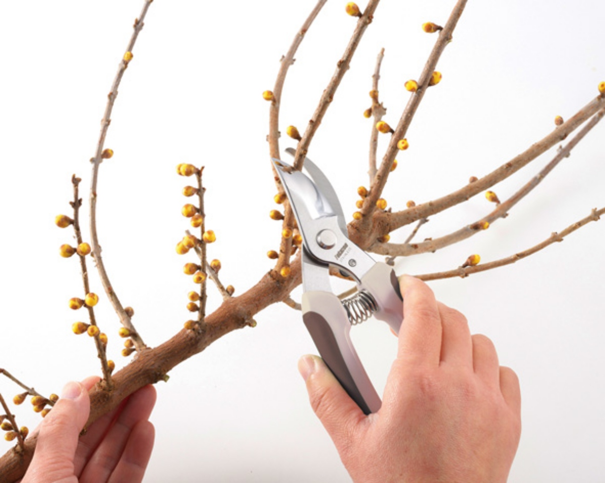 （圖片提供：之間實行委員會）