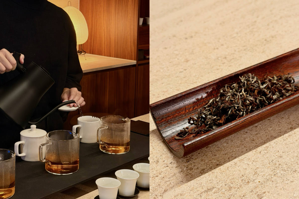 到台中「萬軒茶室」當代茶館，喝懂東方美人、古樹普洱的究極風味